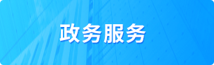 政务服务