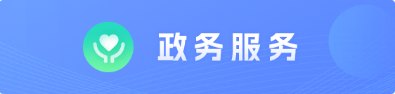 政务服务