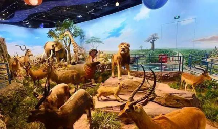 陕西自然博物馆简介