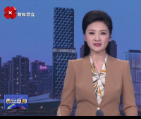 《西安网》：“雁小政-DeepSeek”推进政务服务向数智化迈进